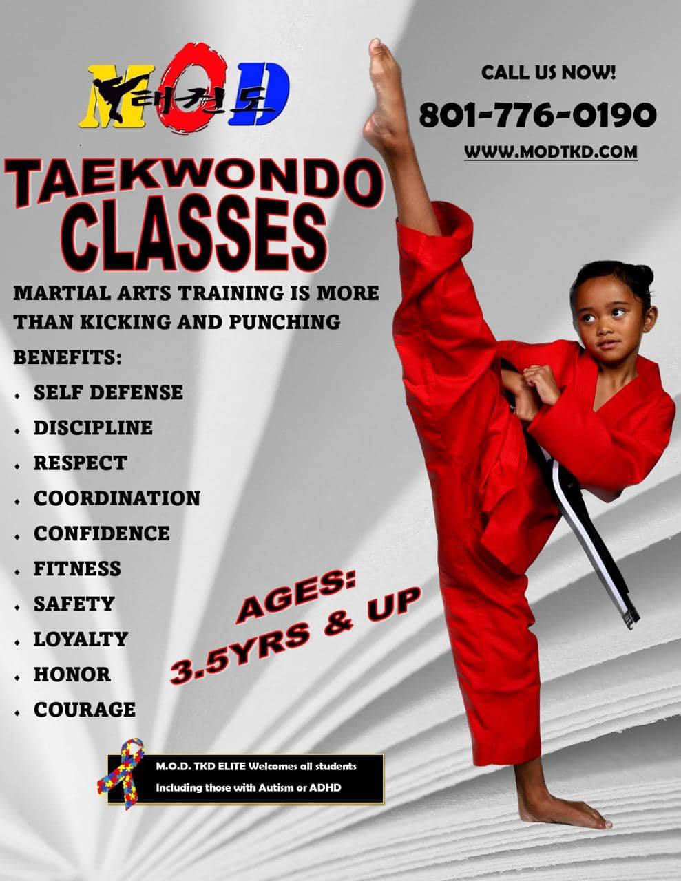 MOD Taekwondo Classes