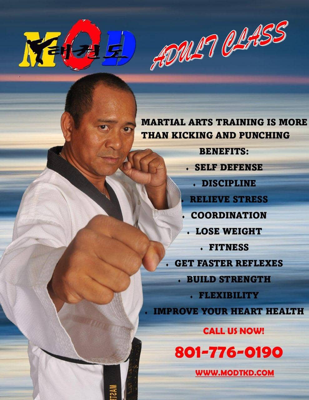 MOD Taekwondo Master Marlo