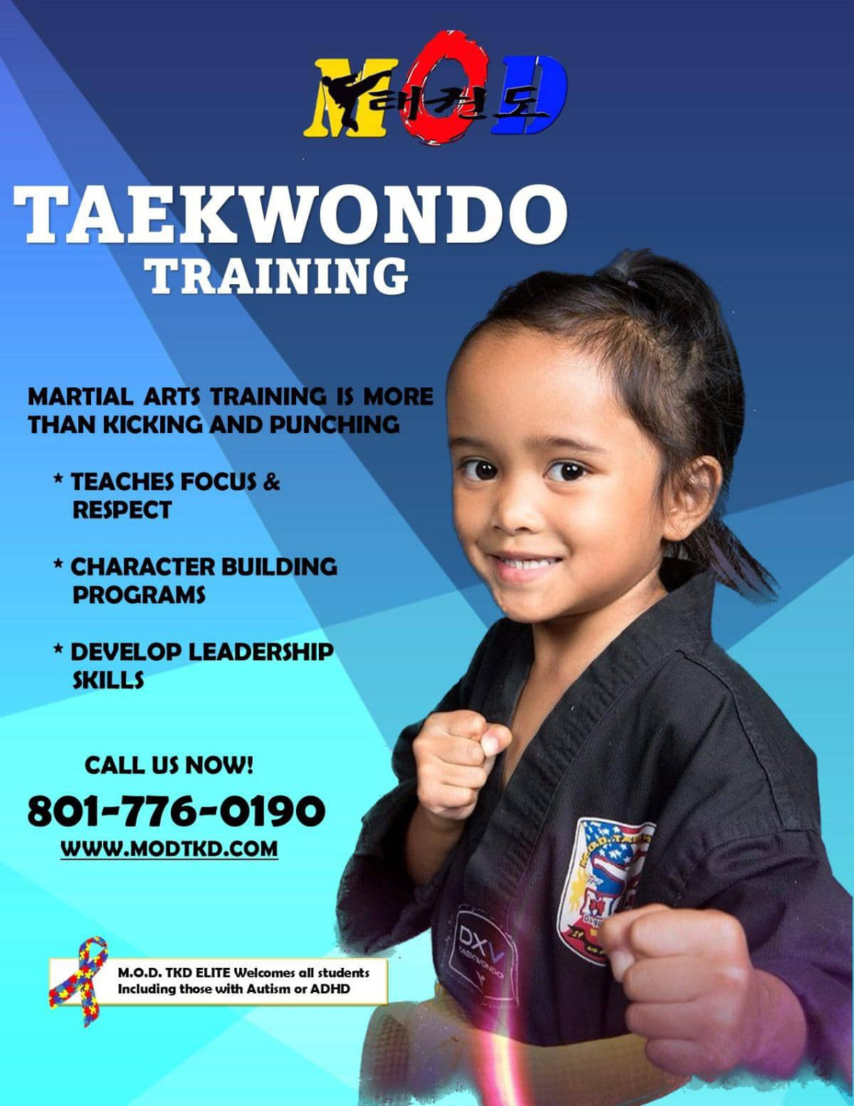 MOD Taekwondo Training